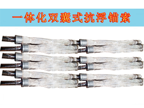 一體化雙囊式抗浮錨索